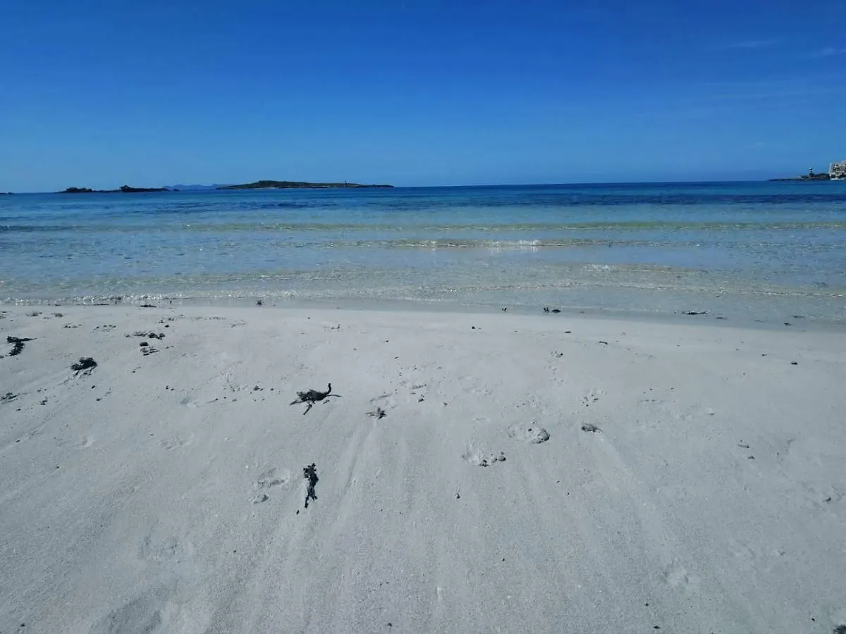 White - Enjoytheseaincolonia We Rent Only From Sat To Sat Appartement Colonia de Sant Jordi